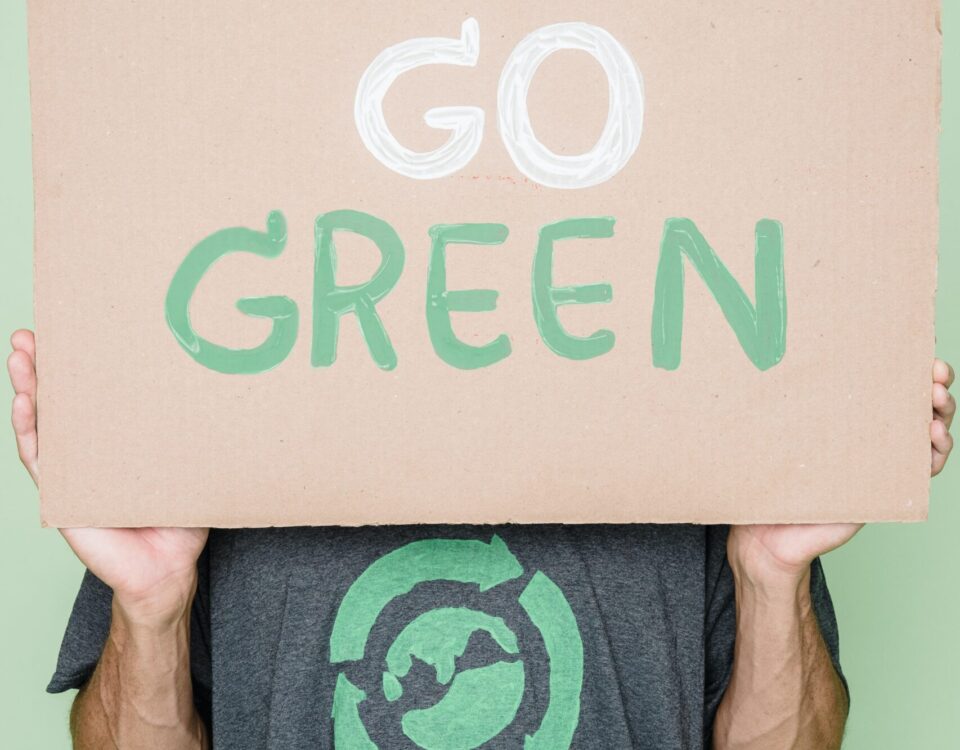 Sustentabilidade e Ecologia: A Visão dos Incentivos Portugal 2030. rapaz com cartaz green