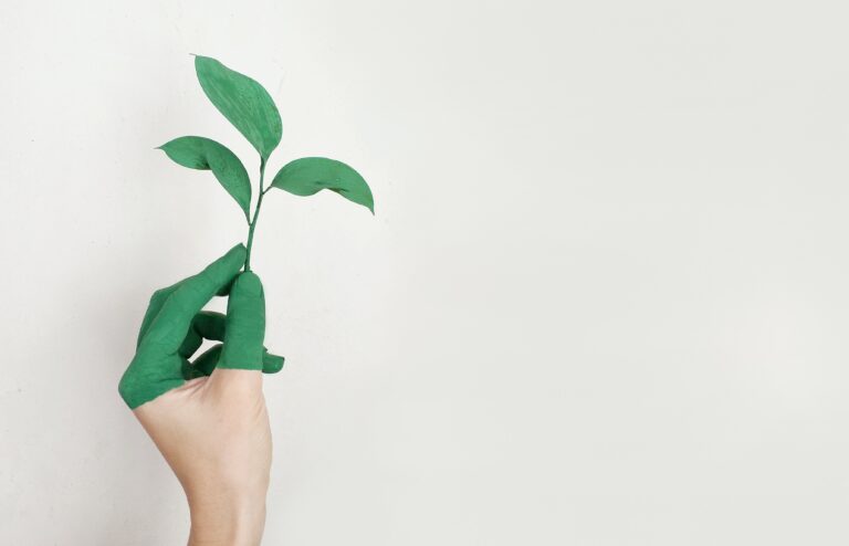 Inovação sustentável: conheça estas 17 startups portuguesas. mao verde com uma flor